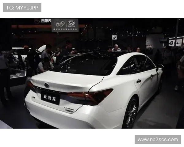 北京排球队在洲际杯积分榜中以61分稳居第一名展现强劲实力 北京排球队在洲际杯积分榜中以61分稳居第一名展现强劲实力