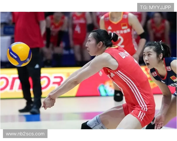 北京排球队逆袭之路揭秘精英赛背后的奋斗与荣耀 北京排球队逆袭之路揭秘精英赛背后的奋斗与荣耀