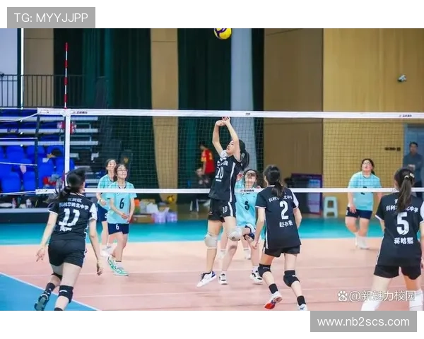 南京排球队在全国排球耐力排行榜中荣获第九名的佳绩引发关注